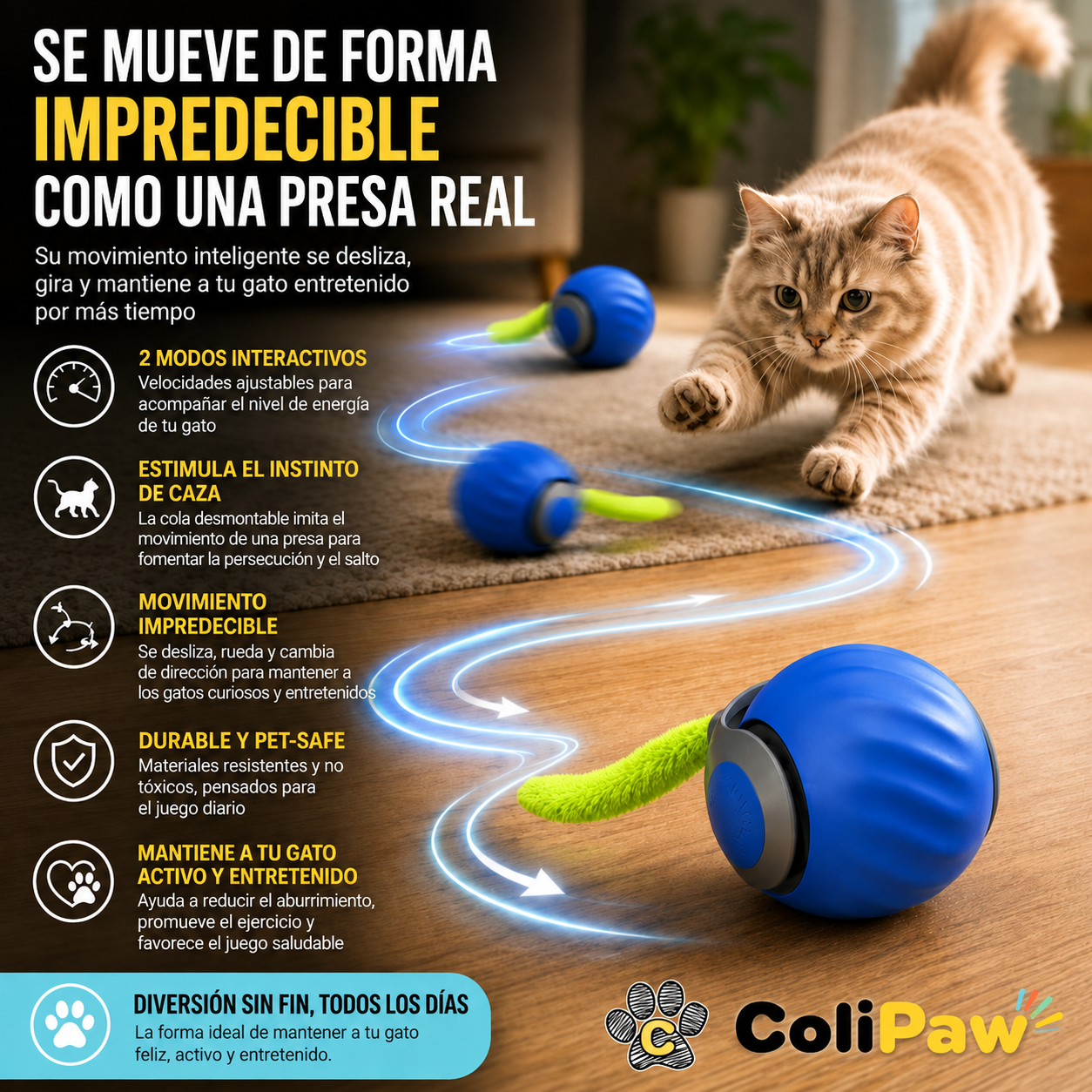 C -Tailyball pelota interactiva para gatos